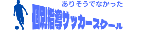 個別指導サッカースクール